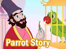 parrot story